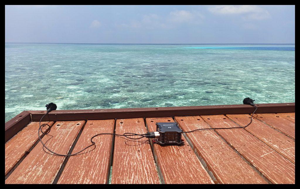 Maldives field recording